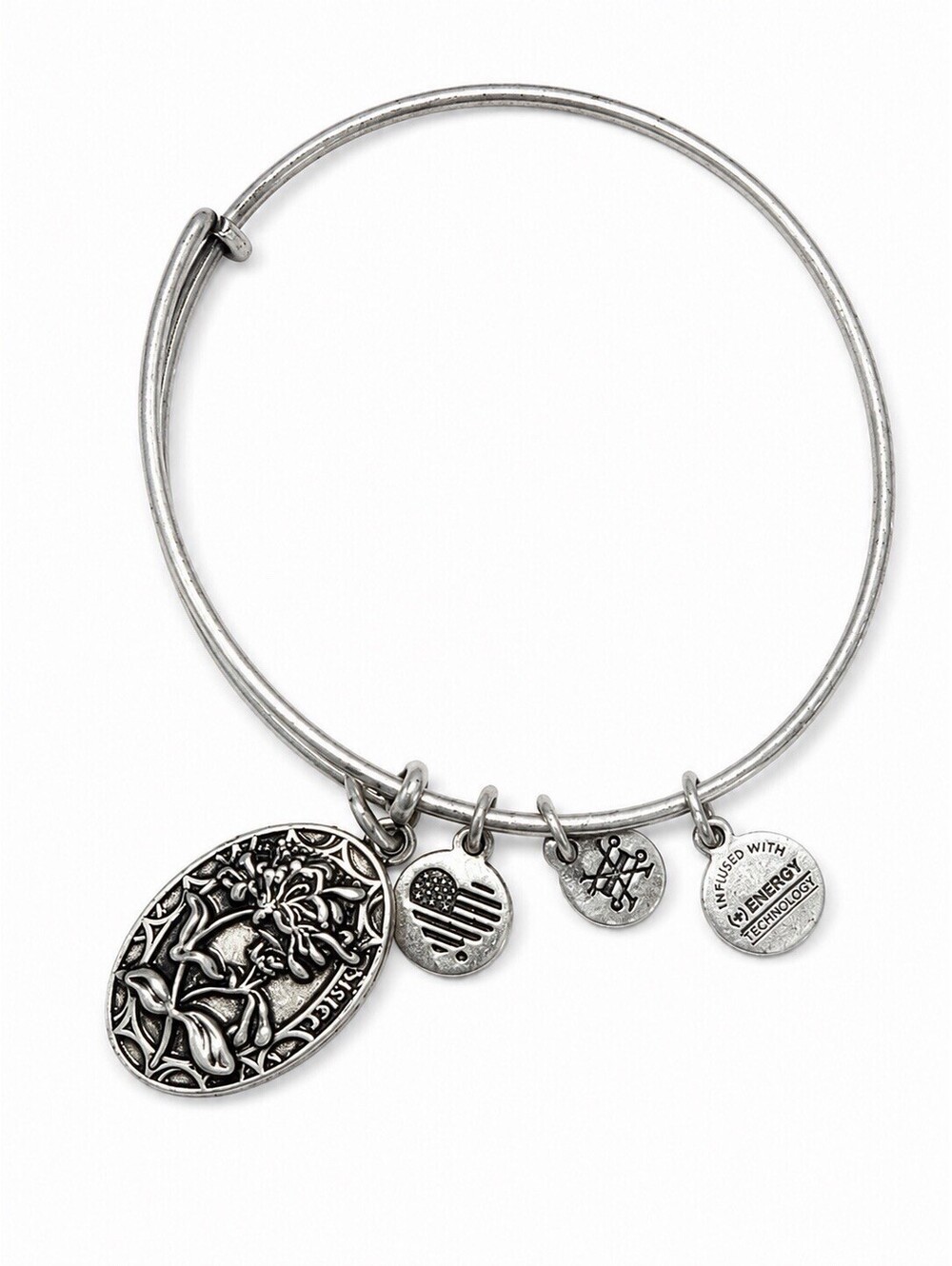 Alex and Ani Sister Charm Expandable Bangle Bracelet Silver Tone Friendship Gift